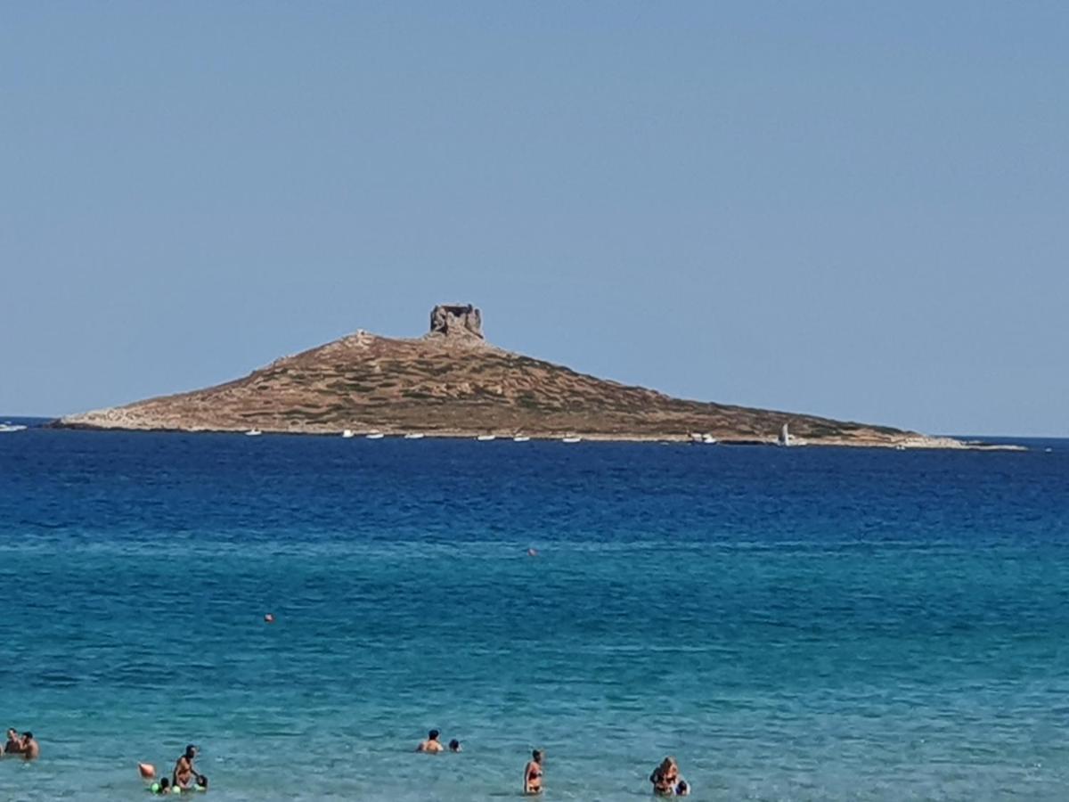 Casetta Delle Mimose Isola delle Femmine Ngoại thất bức ảnh